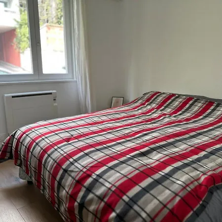 Apartamento Charme- Calme-nancy Centre, 1 Salon, 1 Chambre, Salle De Bain Nancy