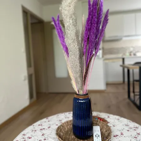 Charme- Calme-nancy Centre, 1 Salon, 1 Chambre, Salle De Bain * Nancy