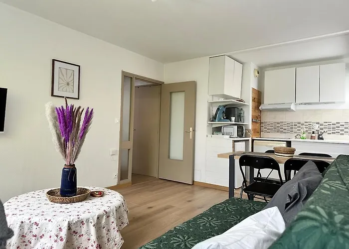 L ésprit Stanislas, élégant Au Centre De à 3 Min De La Gare Sncf * Nancy