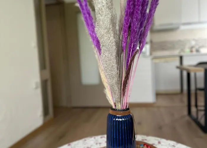 L ésprit Stanislas, élégant Au Centre De à 3 Min De La Gare Sncf * Nancy